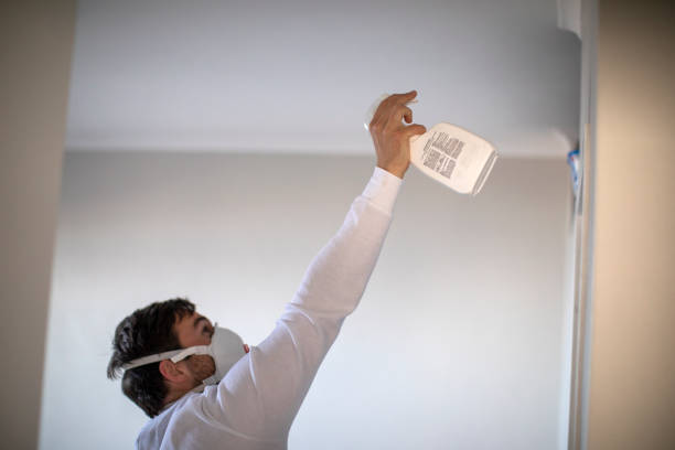 Trusted Paris, TN Mold Removal Experts