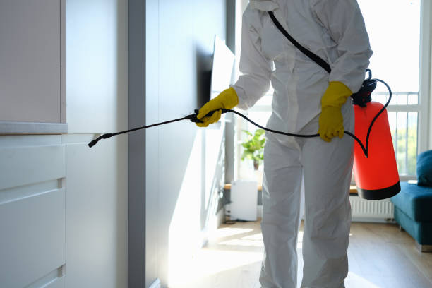Water Damage Restoration in Paris, TN