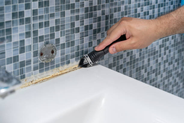 Best Mold Removal Company Near Me  in Paris, TN