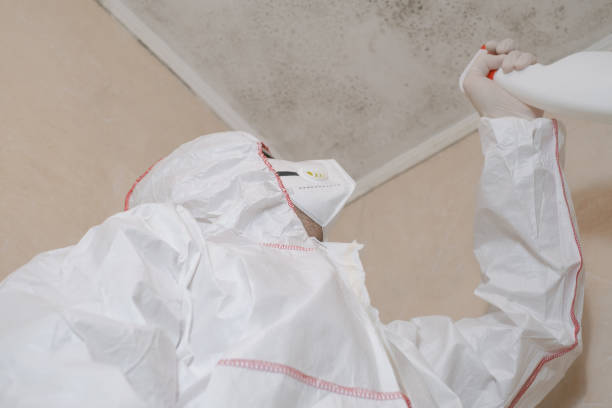 Best Professional Mold Removal  in Paris, TN